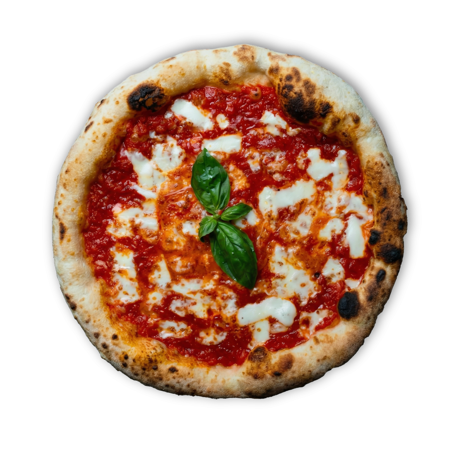 Margherita Pizza