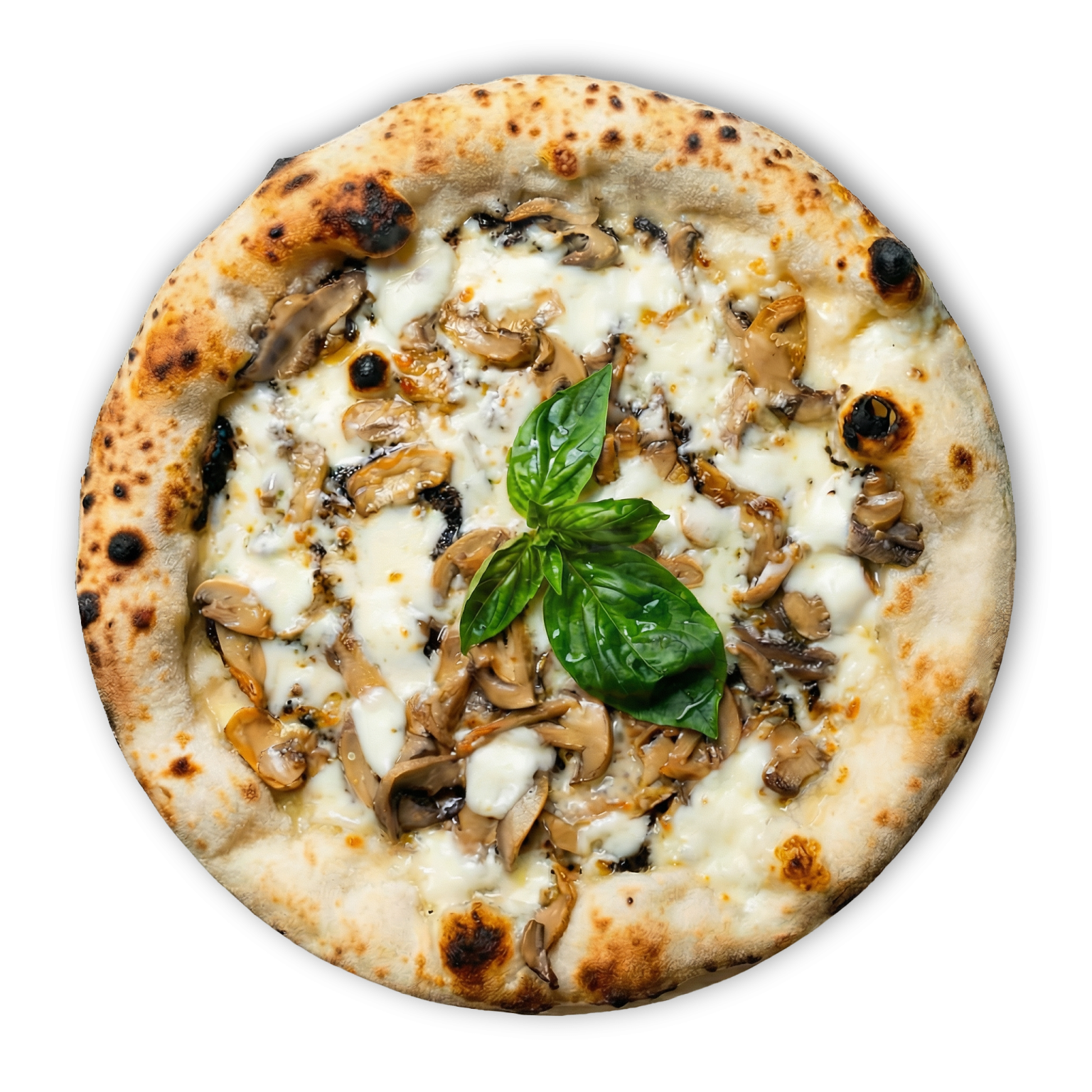 Truffle Pizza
